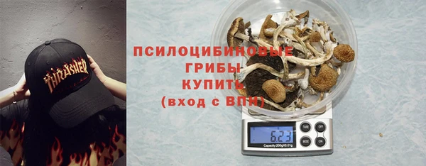 индика Лихославль