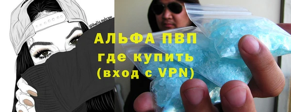 индика Лихославль