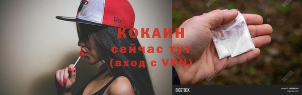 индика Лихославль