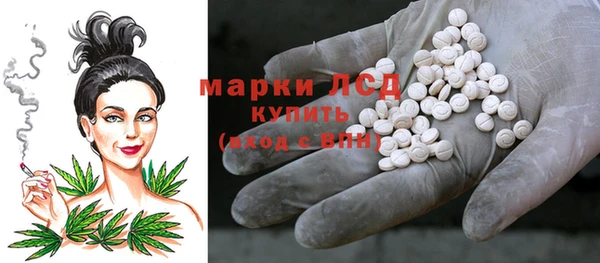 гашик Липки