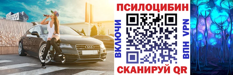 что такое наркотик  Строитель  Галлюциногенные грибы Psilocybe 